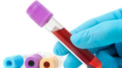 Bases de Bioquímica